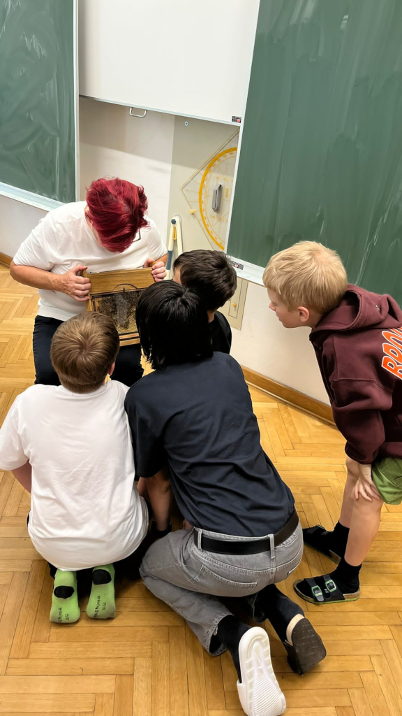 Die Kinder entdecken rasch die Königin im Einwabenkästchen